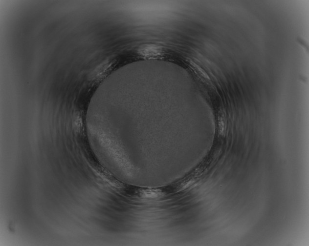 X0000091700618200709071350