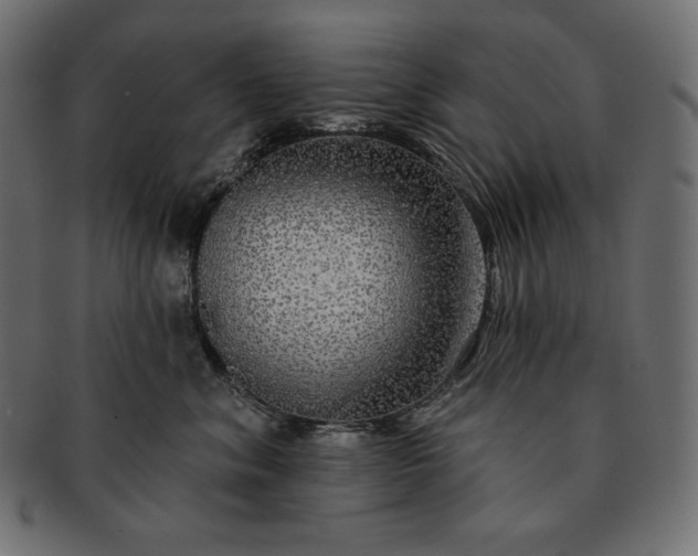 X0000091700620200709071350