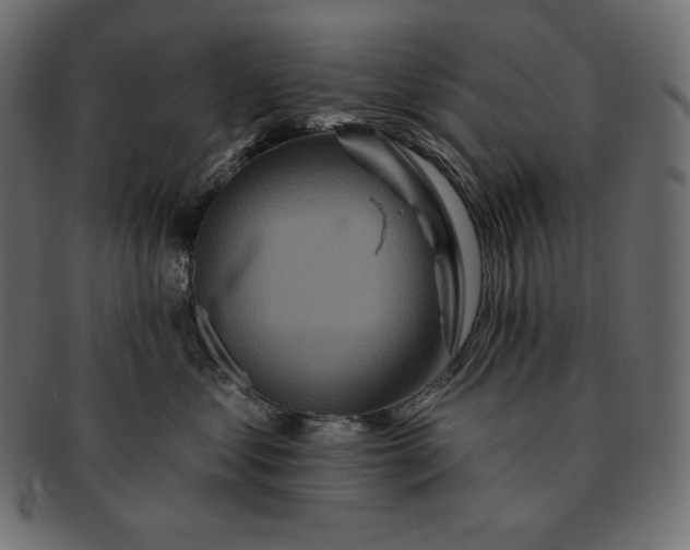 X0000091700621200709071350