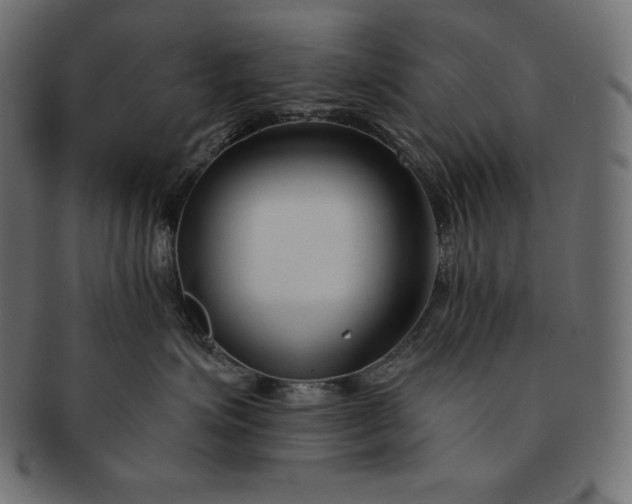 X0000091700623200709071350