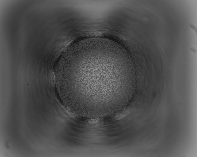 X0000091700624200709071350