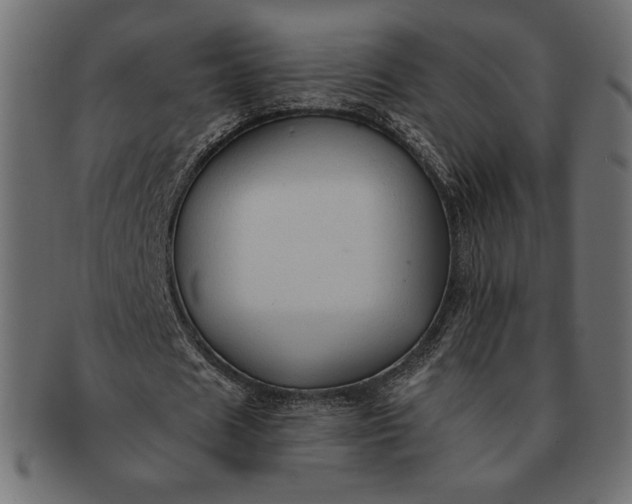 X0000091700625200709071349