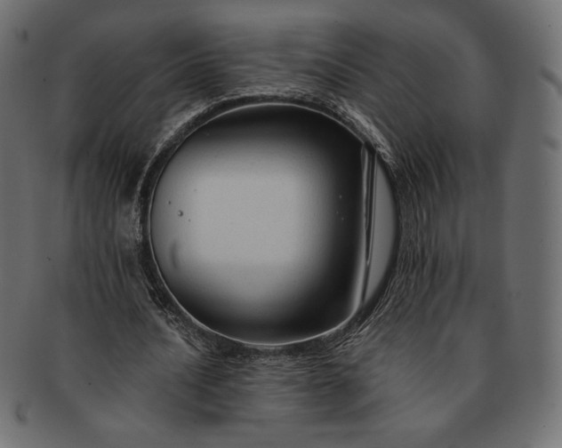 X0000091700628200709071349