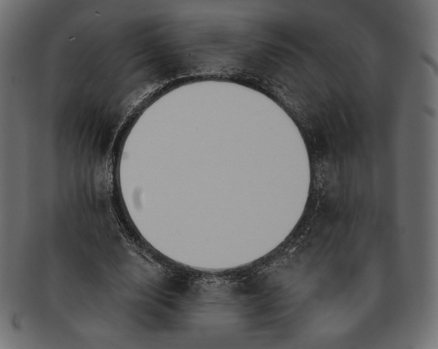 X0000091700632200709071350