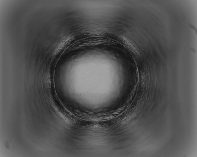 X0000091700634200709071350