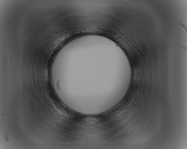 X0000091700636200709071350