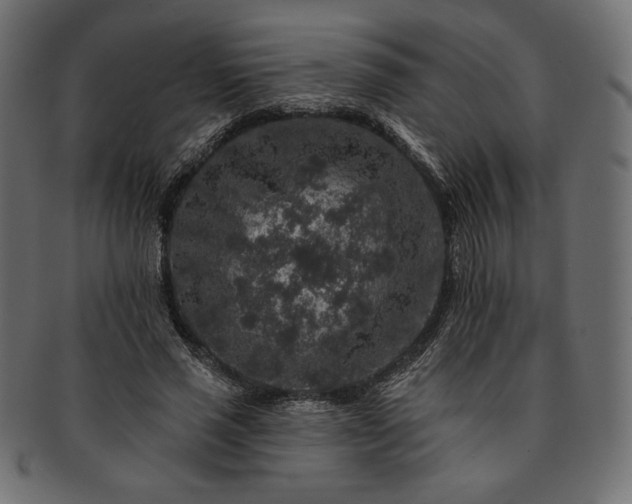 X0000091700637200709071350