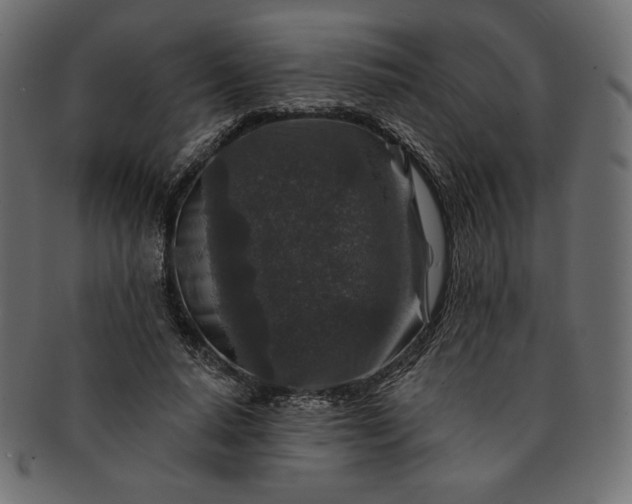 X0000091700640200709071350