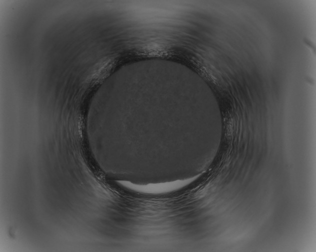 X0000091700643200709071350