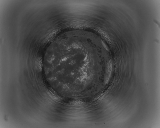 X0000091700644200709071350