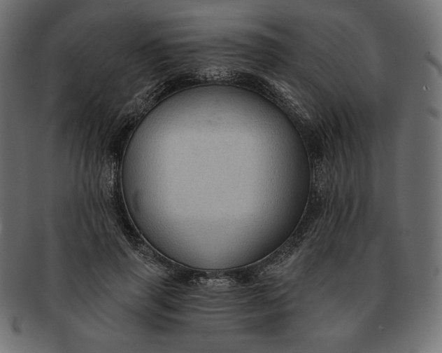 X0000091700645200709071350