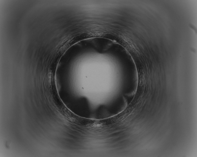 X0000091700647200709071350