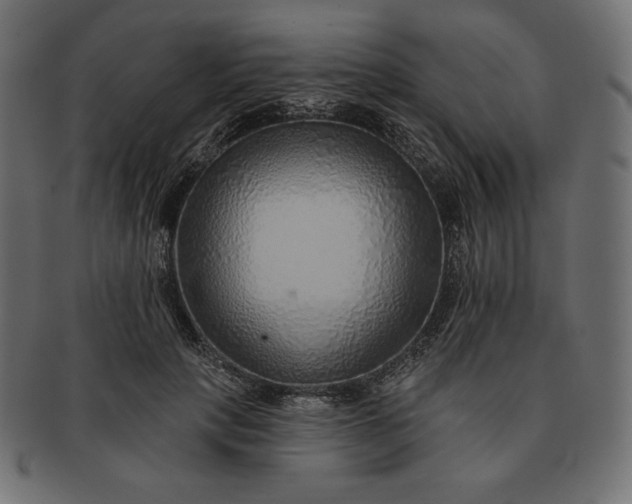 X0000091700649200709071350