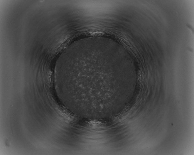 X0000091700650200709071350