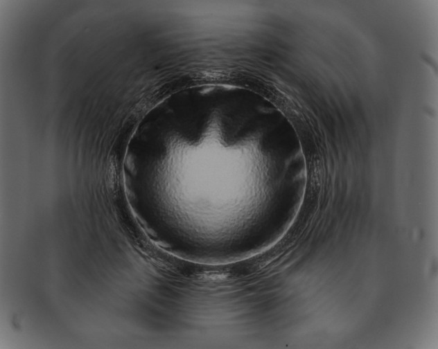 X0000091700651200709071350