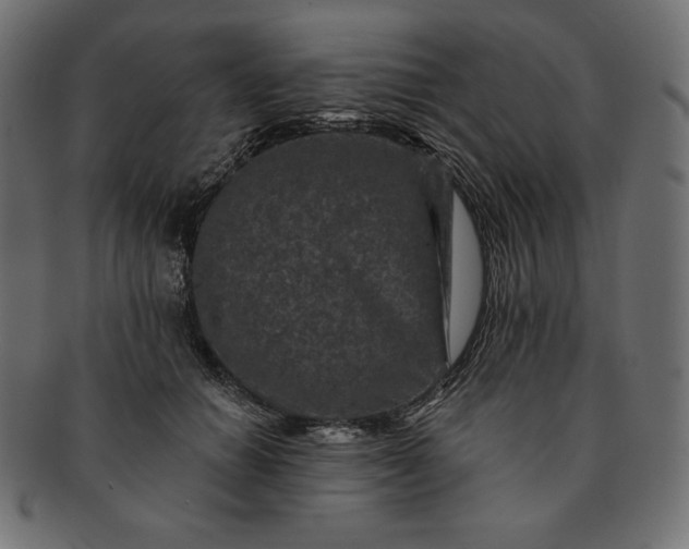 X0000091700654200709071350