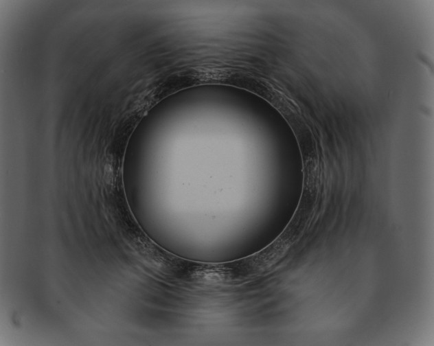 X0000091700655200709071350