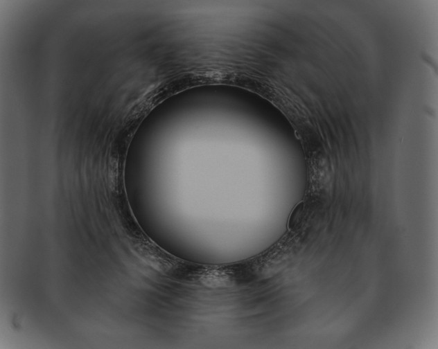 X0000091700656200709071350