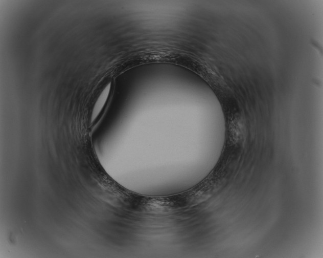 X0000091700657200709071350