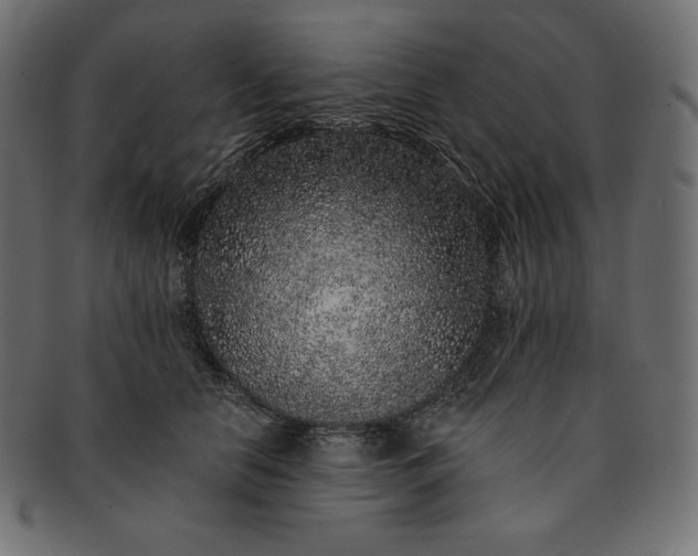 X0000091700658200709071350