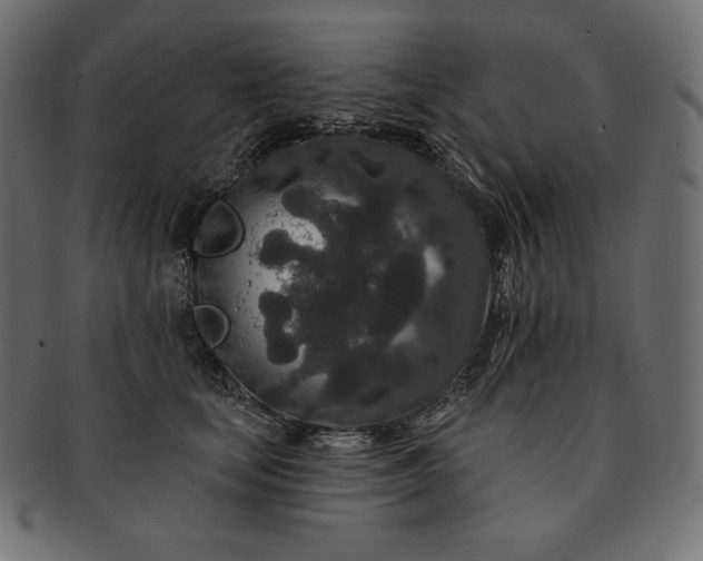 X0000091700659200709071350