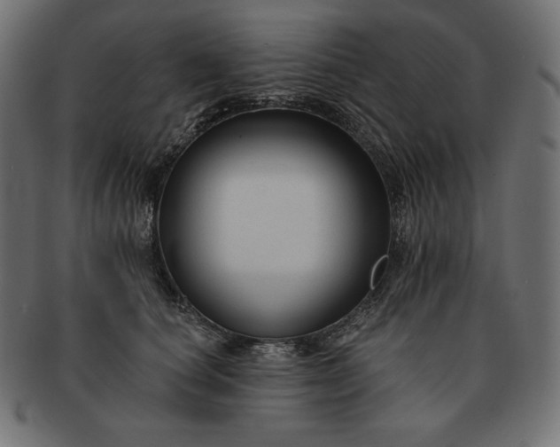 X0000091700660200709071350