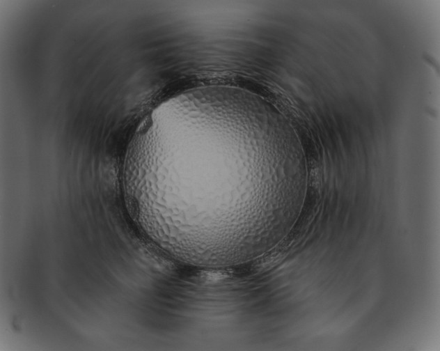 X0000091700662200709071350