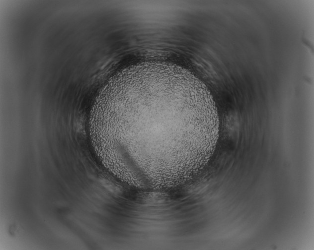 X0000091700663200709071350