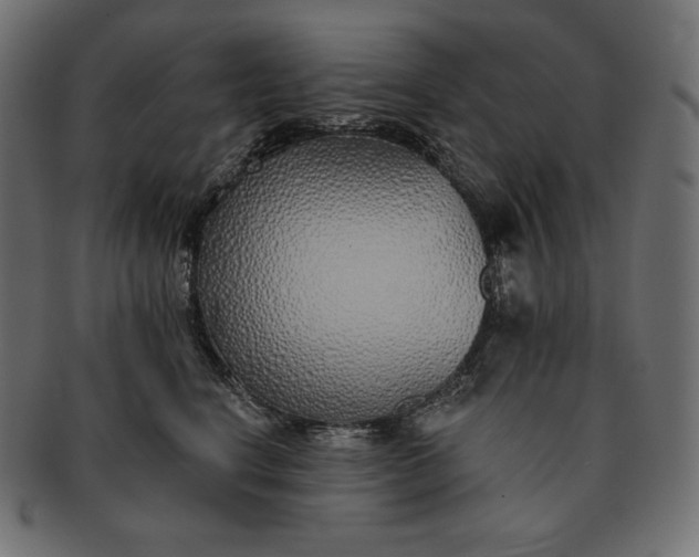 X0000091700664200709071350