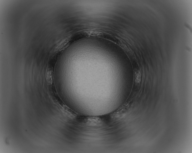 X0000091700666200709071350