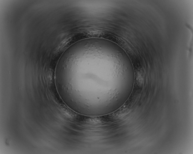 X0000091700668200709071350