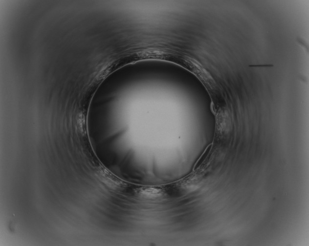 X0000091700669200709071350