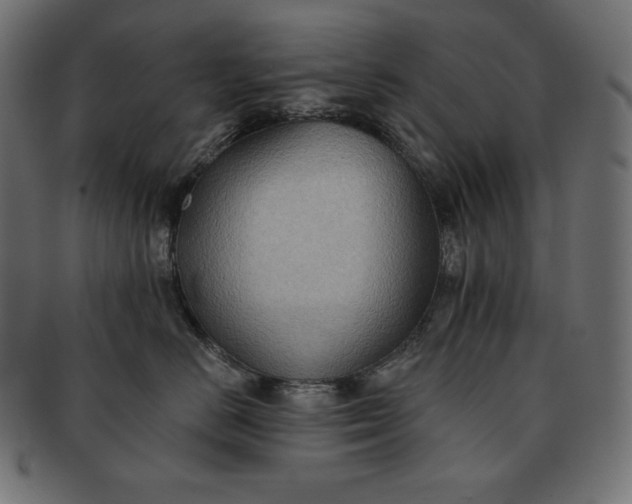 X0000091700670200709071350