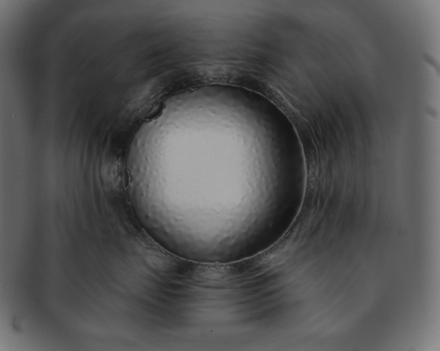 X0000091700671200709071350