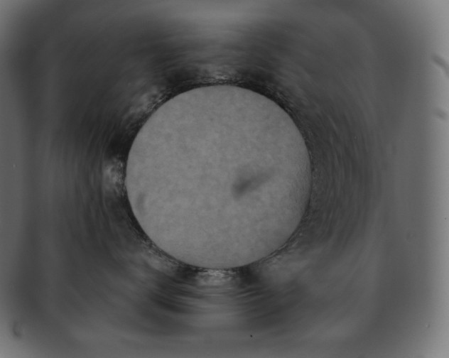 X0000091700672200709071350