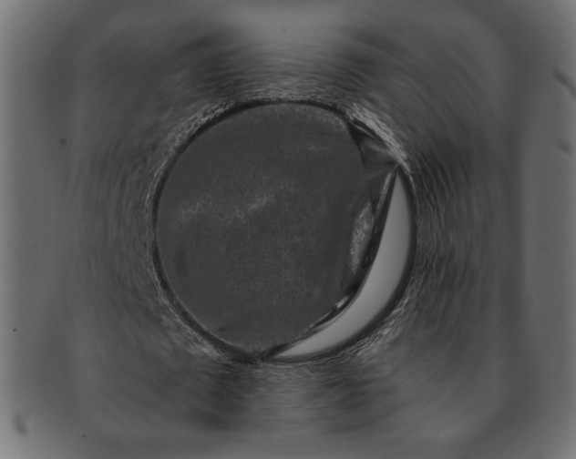 X0000091700673200709071349