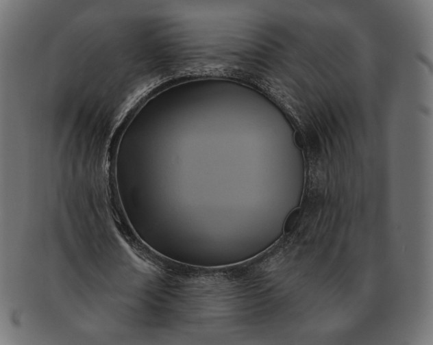 X0000091700674200709071349