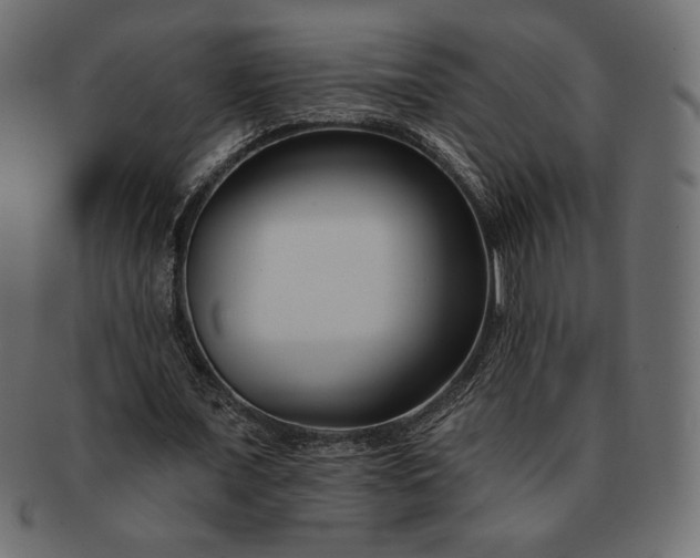 X0000091700675200709071349