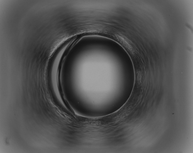 X0000091700676200709071349