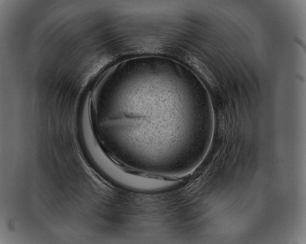 X0000091700677200709071349