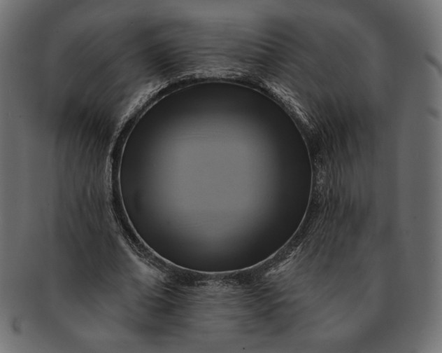 X0000091700678200709071349