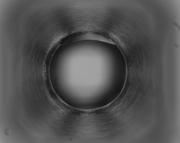 X0000091700680200709071349