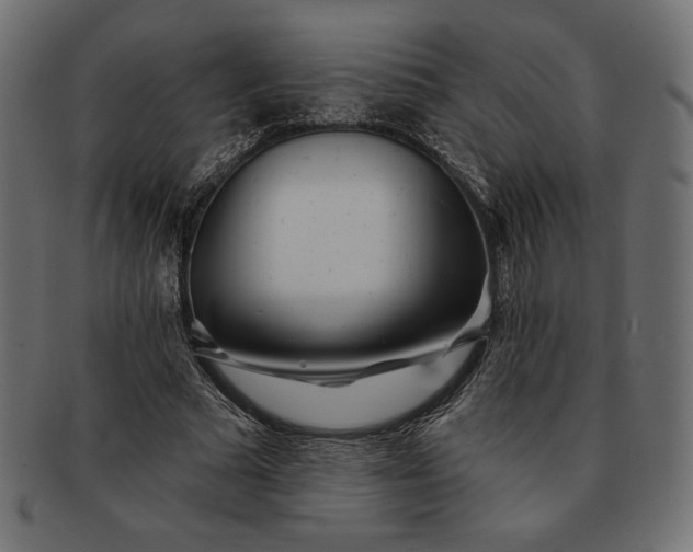 X0000091700681200709071349