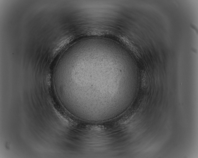 X0000091700683200709071349