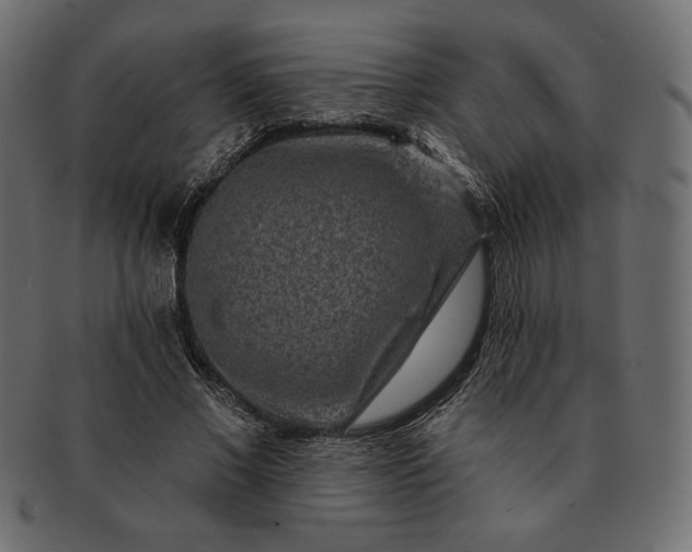 X0000091700685200709071349