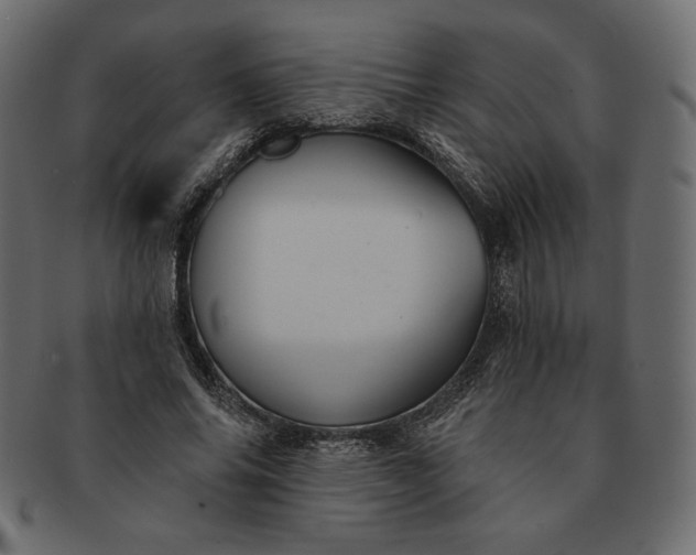 X0000091700686200709071349