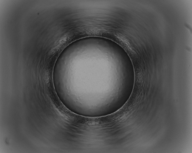 X0000091700687200709071349