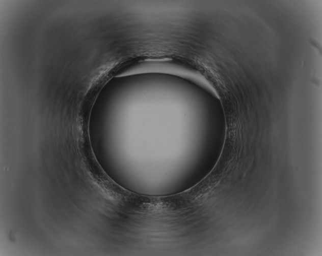 X0000091700688200709071349