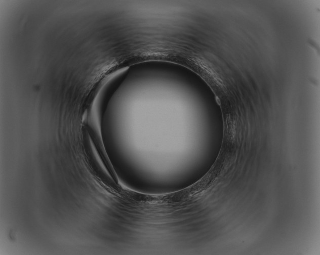 X0000091700692200709071349