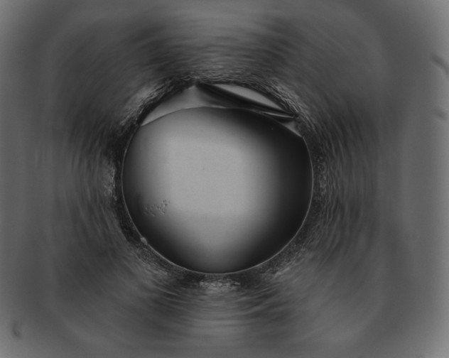 X0000091700693200709071349